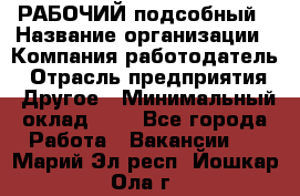 РАБОЧИЙ подсобный › Название организации ­ Компания-работодатель › Отрасль предприятия ­ Другое › Минимальный оклад ­ 1 - Все города Работа » Вакансии   . Марий Эл респ.,Йошкар-Ола г.